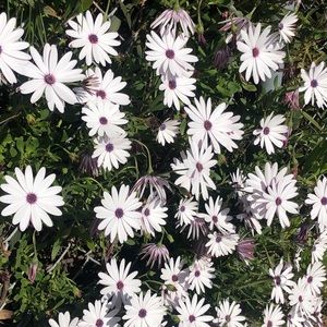 Meet your Posher, Rheina